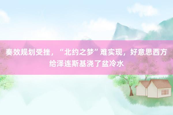 奏效规划受挫，“北约之梦”难实现，好意思西方给泽连斯基浇了盆冷水