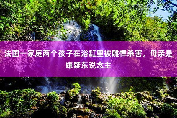 法国一家庭两个孩子在浴缸里被雕悍杀害，母亲是嫌疑东说念主