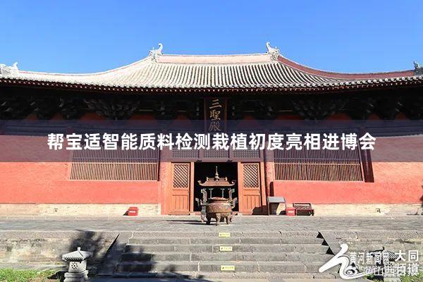 帮宝适智能质料检测栽植初度亮相进博会