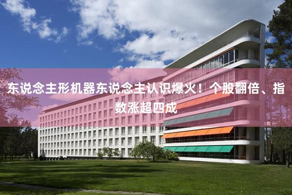 东说念主形机器东说念主认识爆火！个股翻倍、指数涨超四成