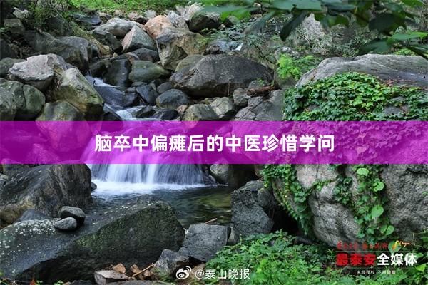 脑卒中偏瘫后的中医珍惜学问