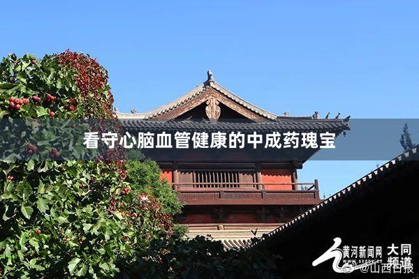 看守心脑血管健康的中成药瑰宝