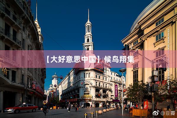 【大好意思中国】候鸟翔集
