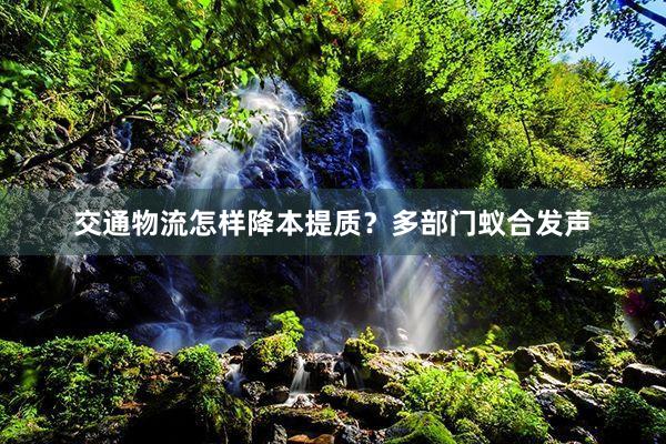 交通物流怎样降本提质？多部门蚁合发声