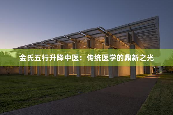 金氏五行升降中医：传统医学的鼎新之光